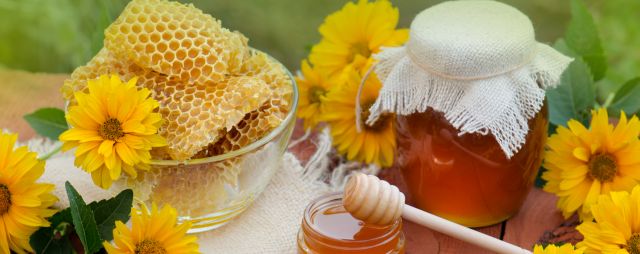 15 Cara Membedakan Madu Asli Dan Madu Palsu